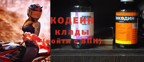 индика Беломорск