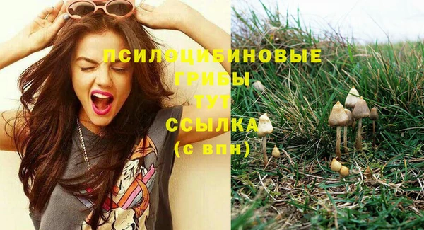 индика Беломорск