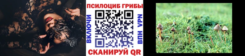 Галлюциногенные грибы прущие грибы  что такое наркотик  Щигры 
